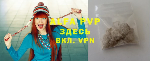 крисы Баксан