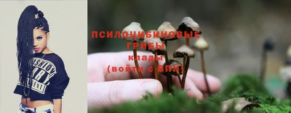 крисы Баксан