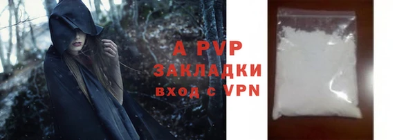 крисы Баксан