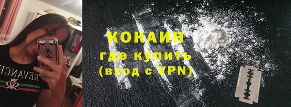 крисы Баксан